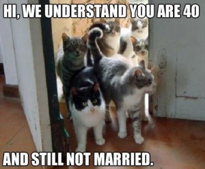 40-and-still-not-married-cat-memes_0