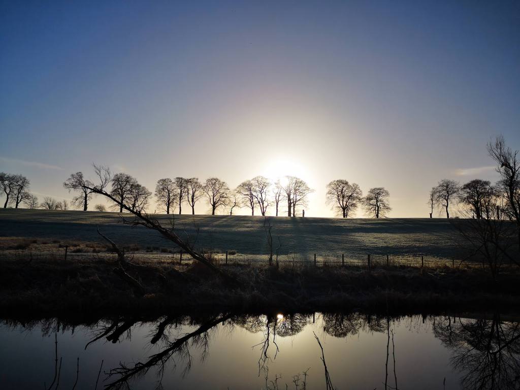 sun rises behind bare trees on frosty morning