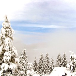 12 Days of SoTL: Day 07