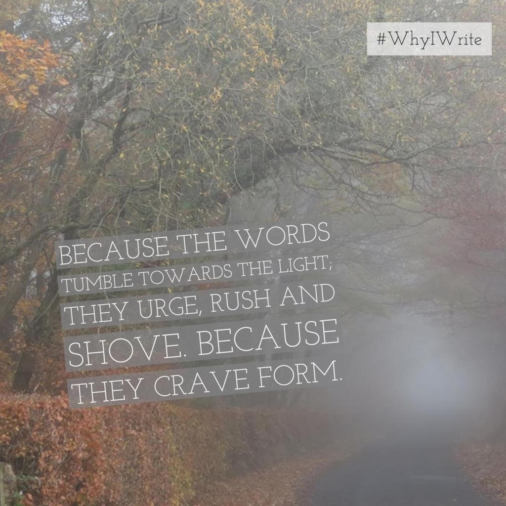 Image of foggy autumn woods with text overlay. The text is repeated in the image caption
