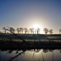 12 Days of SoTL: Day 11