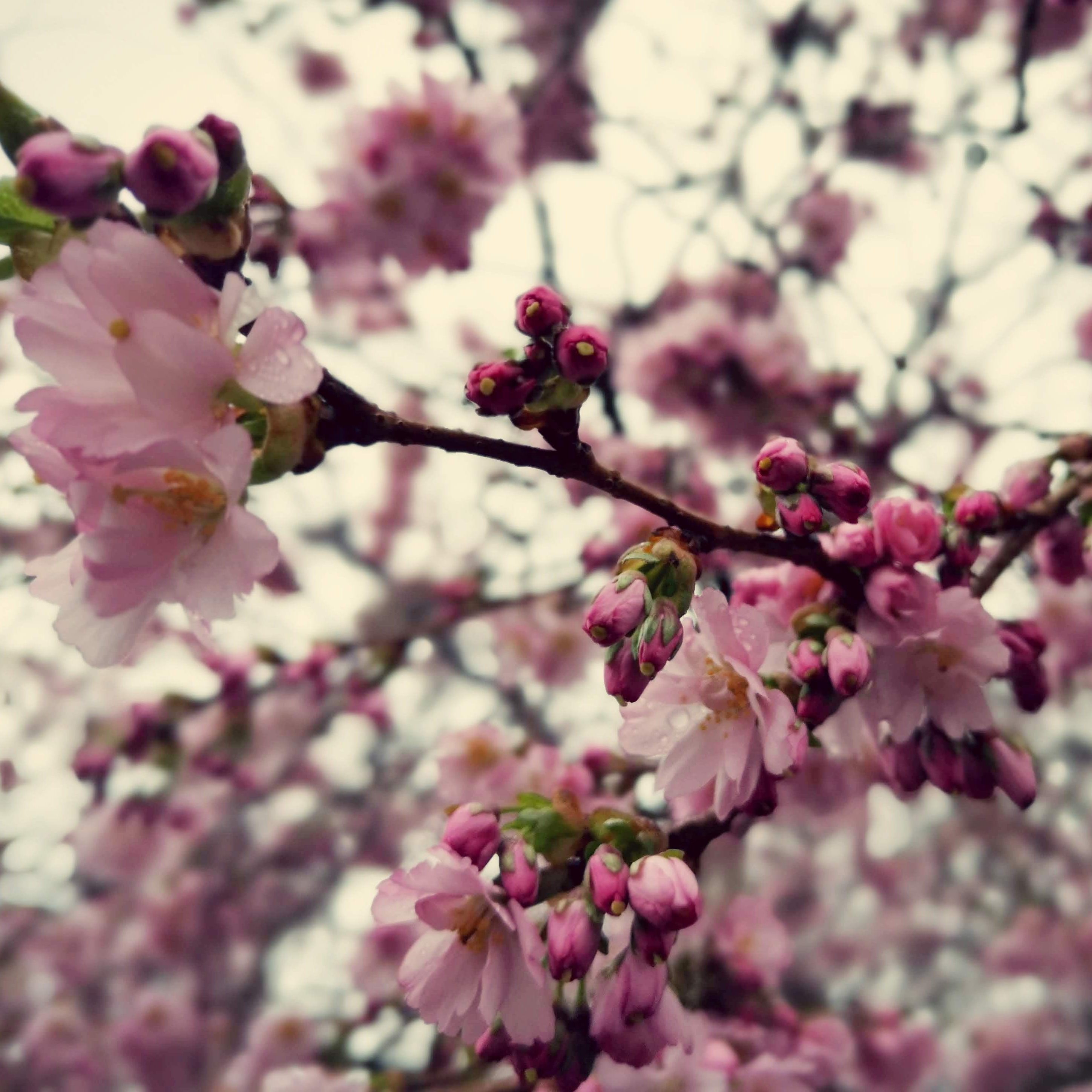 GardenMoments