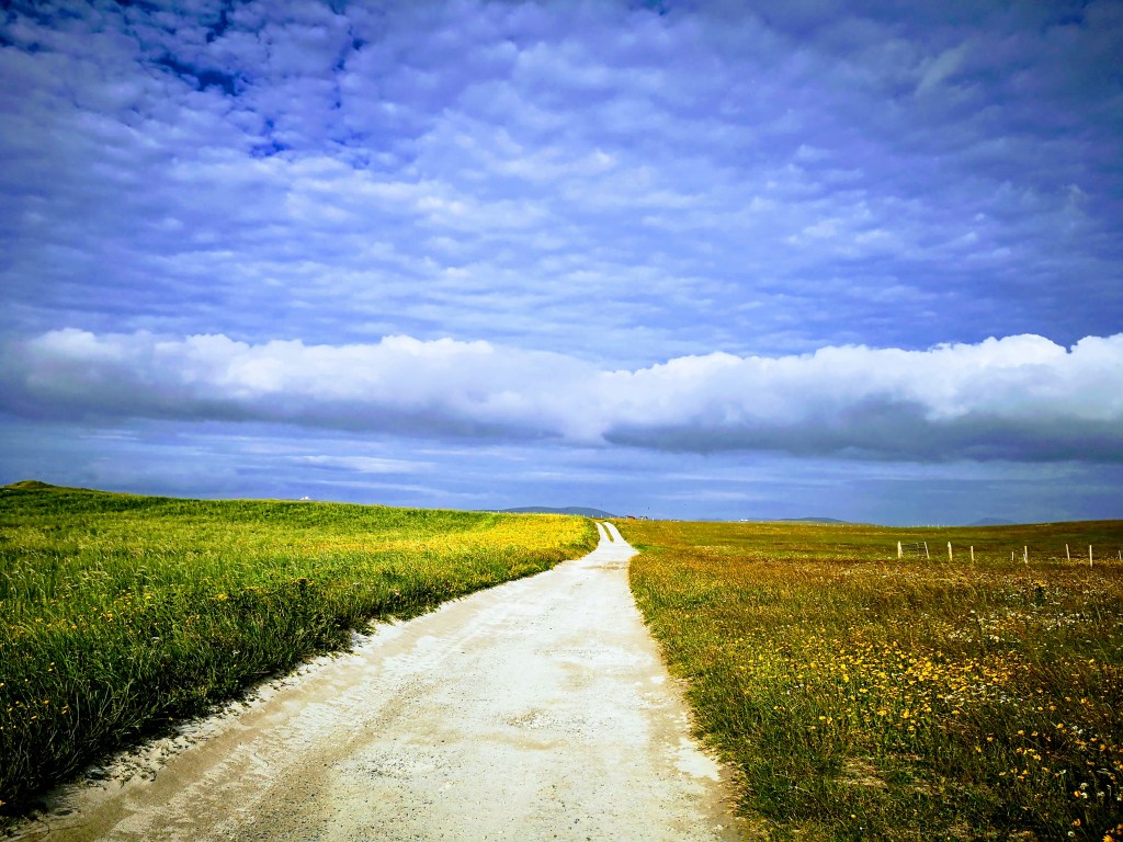 sandy path through wild flower meadows disappearing in the horizon wide sky above with clouds