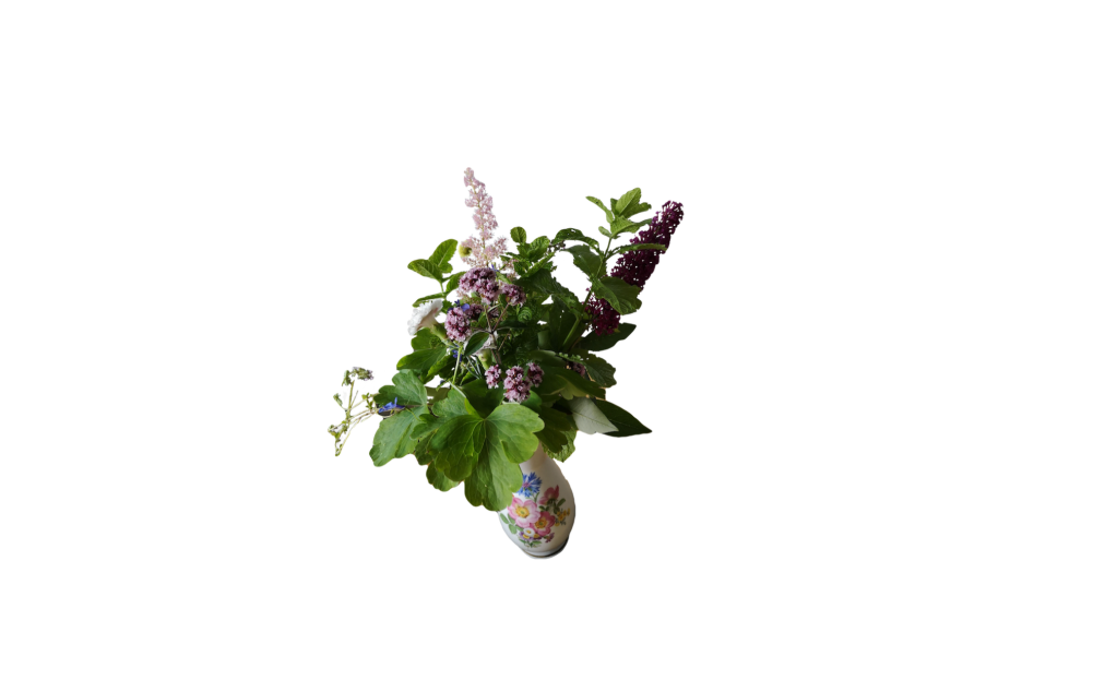 wild flowers in a vase