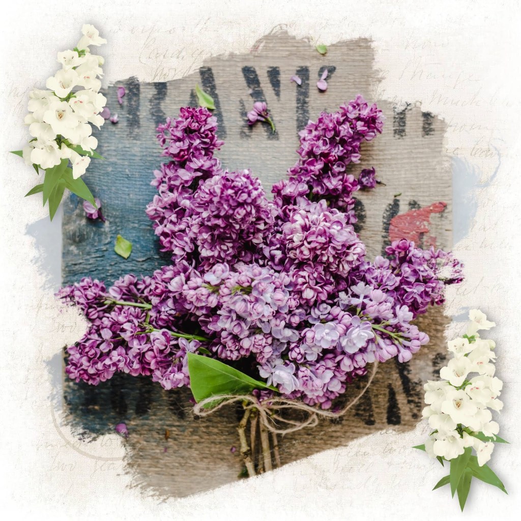 This image is a collage of purple lilac flowers with some white flowers (they look like white foxglove) to the bottom left and top right of the square image. The background is scraps of vintage paper.