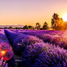 #SoTLwalk May 2021: Kindness