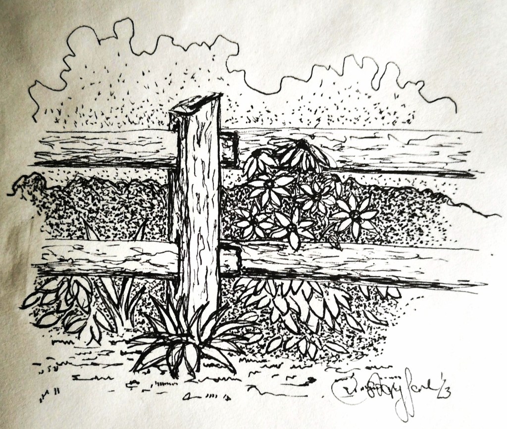 ink sketch of a fence with flowers and plants growing around it 