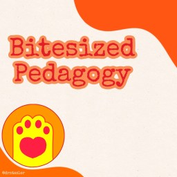 Bite Sized Pedagogy