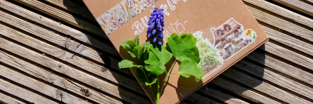 photo of journal laying on a wooden deck, with a purple flower and green leaves on top of the journal