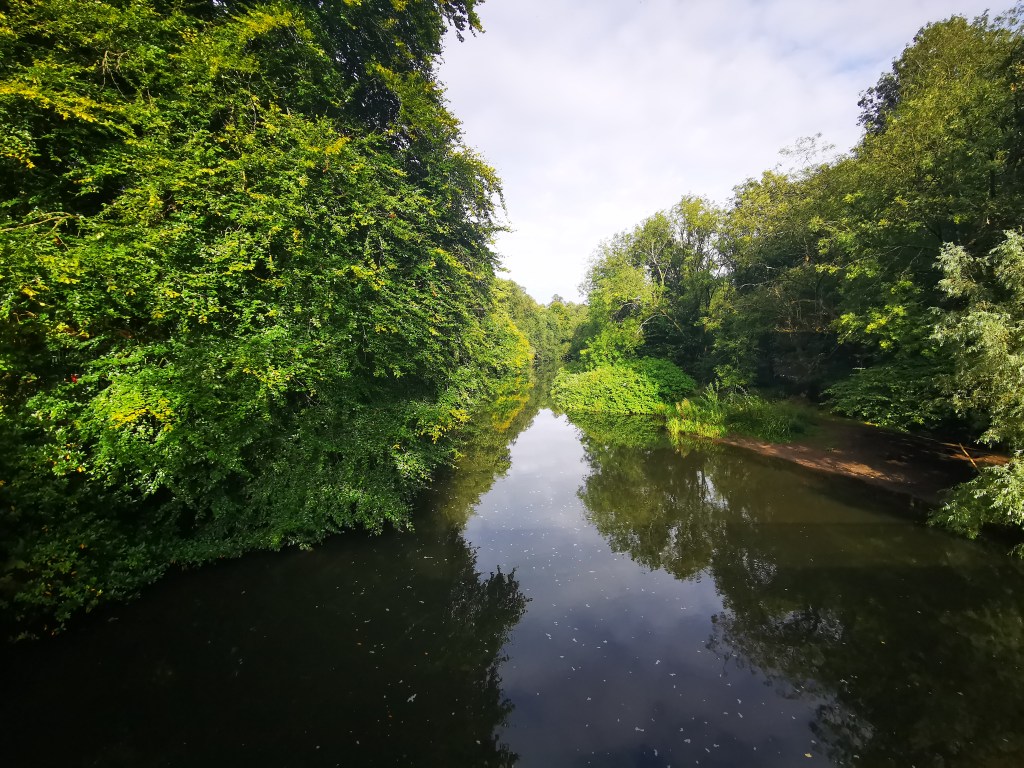 photo of the river Kelvin overgrown on both sides with thick canopied trees which reflect in the still and murky water ... seriously I could make you believe we are somewhere in the jungle nothing in this image tells you that you are in the middle of the Westend in Glasgow just below the Botanic gardens. Go there for the smell of trees and water and soil